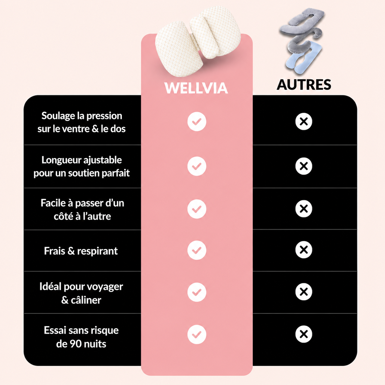 Coussin de grossesse Wellvia