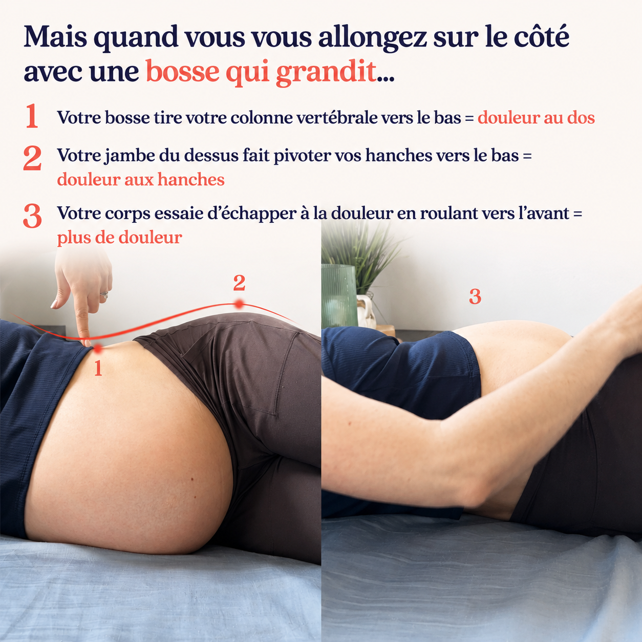 Coussin de grossesse Wellvia